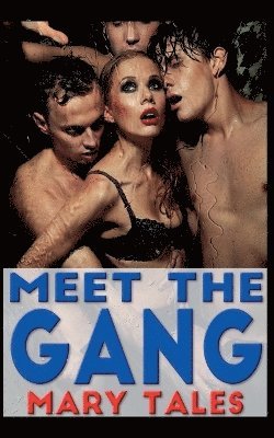 bokomslag Meet The Gang