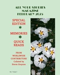 bokomslag All Your Stories Magazine