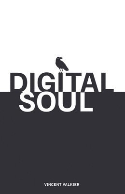 bokomslag Digital Soul