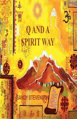 bokomslag Q and A Spirit Way