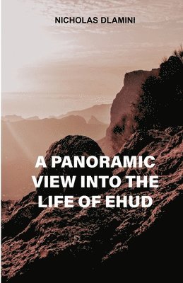 bokomslag panoramic view into the life of Ehud