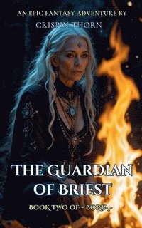 bokomslag Guardian of Briest
