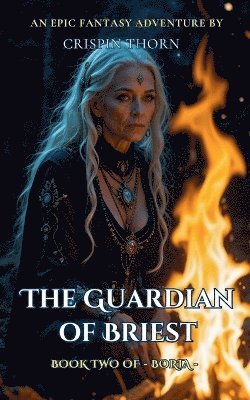 bokomslag Guardian of Briest