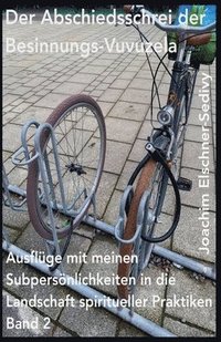 bokomslag Abschiedsschrei der Besinnungs-Vuvuzela