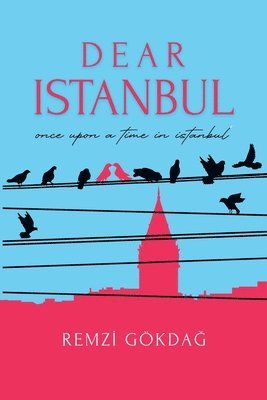 Dear Istanbul 1