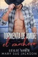 bokomslag Tormenta de amor