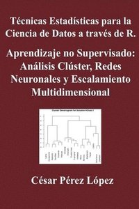 bokomslag Técnicas Estadísticas para la Ciencia de Datos a través de R. Aprendizaje no Supervisado: Análisis Clúster, Redes Neuronales y Escalamiento Multidimen