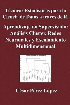 bokomslag Técnicas Estadísticas para la Ciencia de Datos a través de R. Aprendizaje no Supervisado: Análisis Clúster, Redes Neuronales y Escalamiento Multidimen