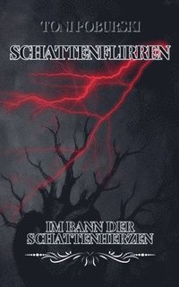bokomslag Schattenflirren
