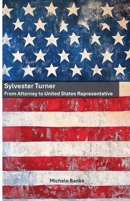 bokomslag Sylvester Turner: From Attorney to United States Representative