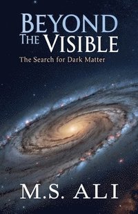 bokomslag Beyond the Visible: The Search for Dark Matter