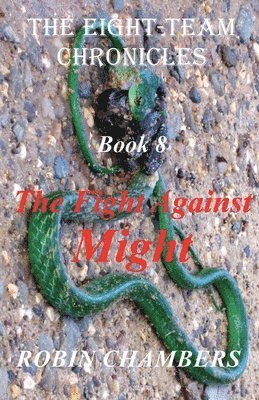 bokomslag Fight Against Might