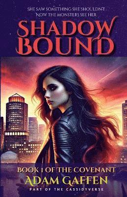 Shadow Bound 1