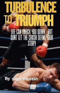 bokomslag Turbulence to Triumph
