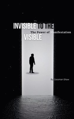 bokomslag Invisible to the Visible