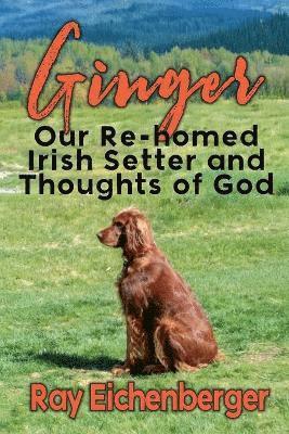 bokomslag Ginger- Our Re-homed Irish Setter and Thoughts of God