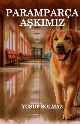 bokomslag Paramparça A?k?m?z