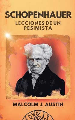 bokomslag Schopenhauer - Lecciones de un Pesimista