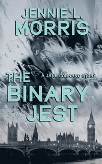 bokomslag Binary Jest