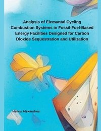 bokomslag Analysis of Elemantal Cycling Combustion Systems in Fossil-Fuel-Based Energy Facilities Designed for Carbon Dioxide Sequestration and Utilization