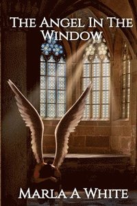 bokomslag Angel In The Window