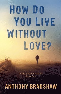 bokomslag How Do You Live Without Love?
