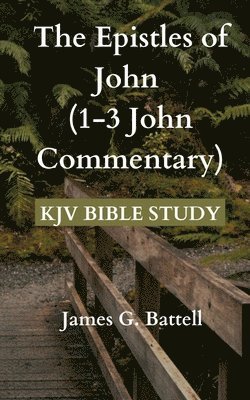 bokomslag Epistles of John (1-3 John KJV Commentary)