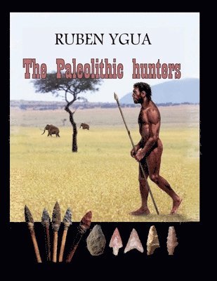 bokomslag Paleolithic hunters