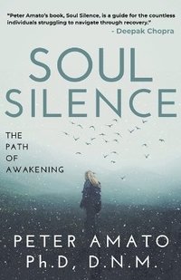 bokomslag Soul Silence