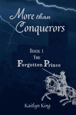 bokomslag Forgotten Prince