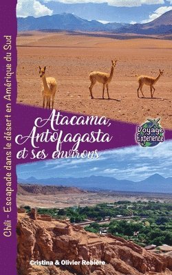 bokomslag Atacama, Antofagasta et les Environs