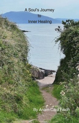 bokomslag Soul's Journey to Inner Healing