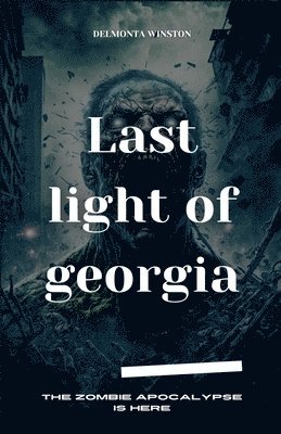 Last Light Of Georgia 1