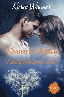 bokomslag Shards of Ashley