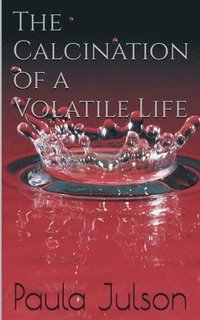 bokomslag Calcination Of A Volatile Life