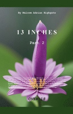 Thirteen Inches Part 2 1