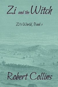 bokomslag Zi and the Witch