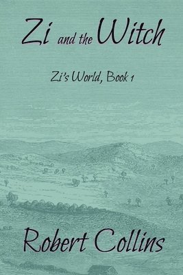 bokomslag Zi and the Witch