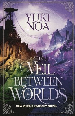 bokomslag The Veil Between Worlds