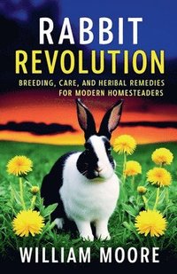 bokomslag Rabbit Revolution