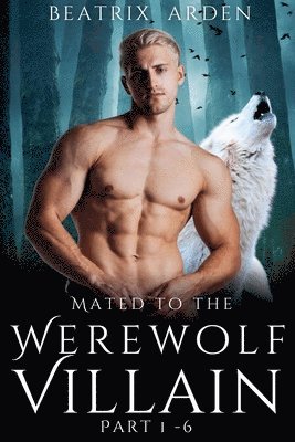 bokomslag Mated to the Werewolf Villain Part 1 - 6