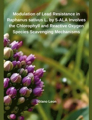 bokomslag Modulation of Heavy Metal Resistance in Raphanus sativus L. by 5-ALA Involves the Chlorophyll and Reactive Oxygen Species Scavenging Mechanisms