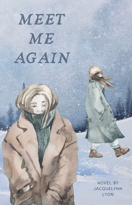 bokomslag Meet Me Again