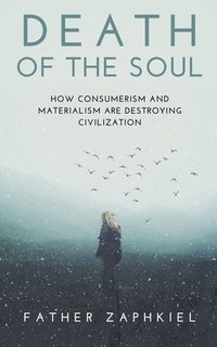 bokomslag Death of the Soul
