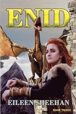 bokomslag ENID (Book 3)