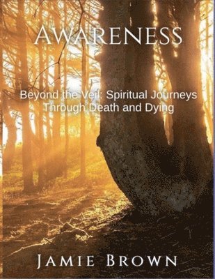 bokomslag Awareness. Beyond The Veil