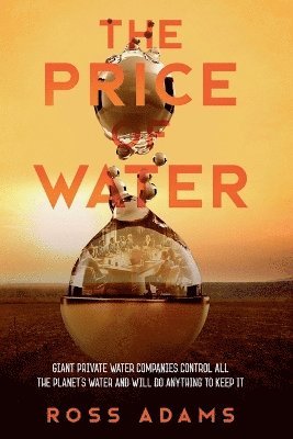 bokomslag Price of Water