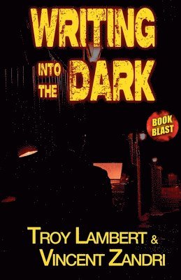bokomslag Writing Into the Dark
