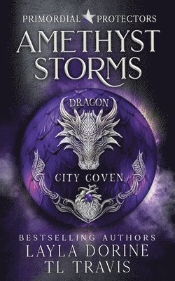 bokomslag Amethyst Storms