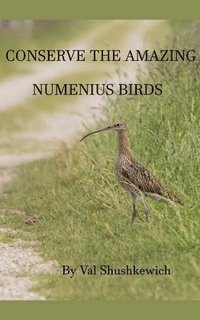 bokomslag Conserve the Amazing Numenius Birds